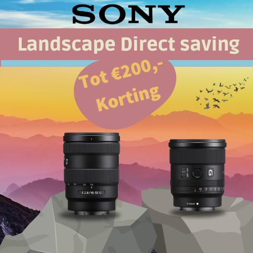 Sony Landscape Direct Saving