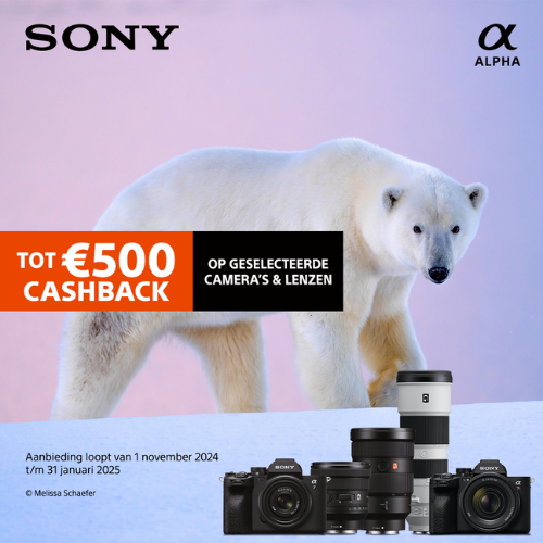 Sony Winter Cashback